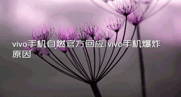 vivo手机自燃官方回应,vivo手机爆炸原因