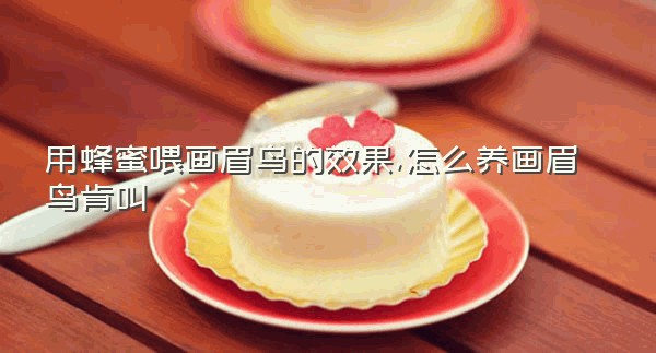 用蜂蜜喂画眉鸟的效果,怎么养画眉鸟肯叫