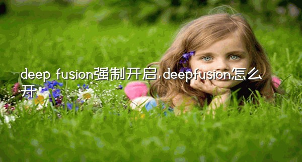 deep fusion强制开启,deepfusion怎么开