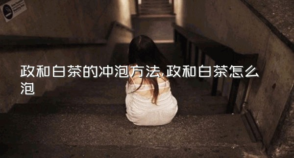 政和白茶的冲泡方法,政和白茶怎么泡