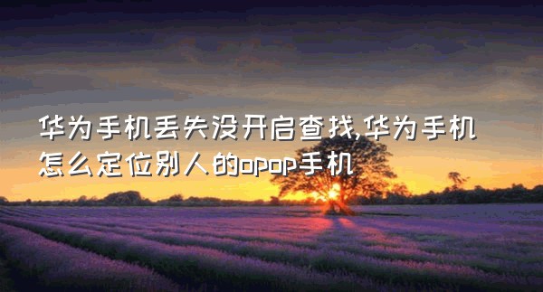 华为手机丢失没开启查找,华为手机怎么定位别人的opop手机