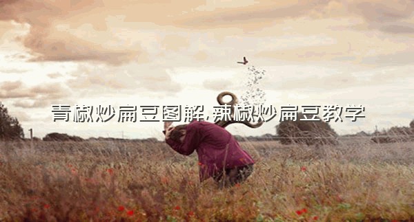 青椒炒扁豆图解,辣椒炒扁豆教学