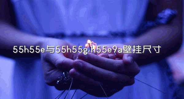 55h55e与55h55g,h55e9a壁挂尺寸