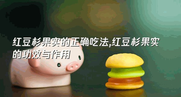 红豆杉果实的正确吃法,红豆杉果实的功效与作用