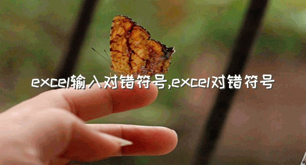 excel输入对错符号,excel对错符号