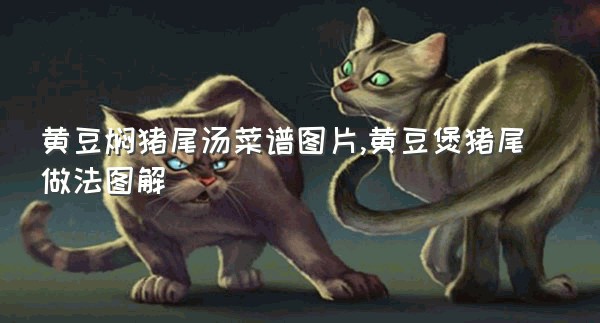 黄豆焖猪尾汤菜谱图片,黄豆煲猪尾做法图解