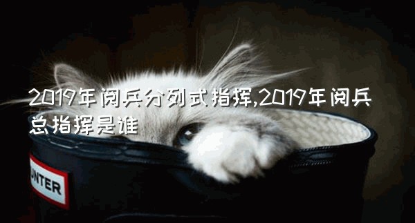 2019年阅兵分列式指挥,2019年阅兵总指挥是谁