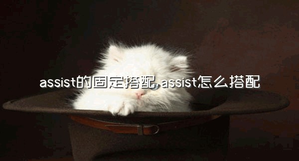 assist的固定搭配,assist怎么搭配