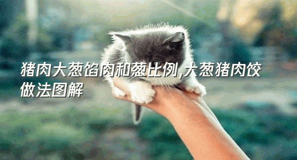 猪肉大葱馅肉和葱比例,大葱猪肉饺做法图解