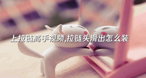 上拉链高手视频,拉链头滑出怎么装