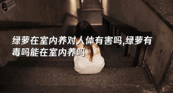 绿萝在室内养对人体有害吗,绿萝有毒吗能在室内养吗