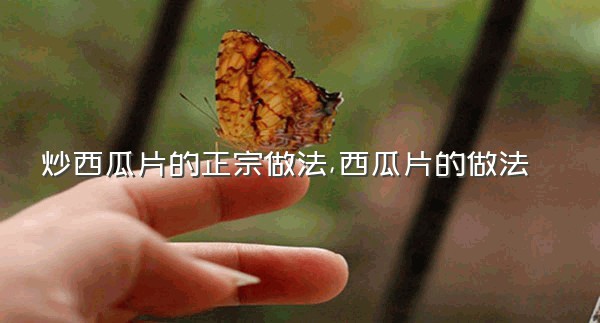 炒西瓜片的正宗做法,西瓜片的做法