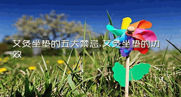 艾灸坐垫的五大禁忌,艾灸坐垫的功效