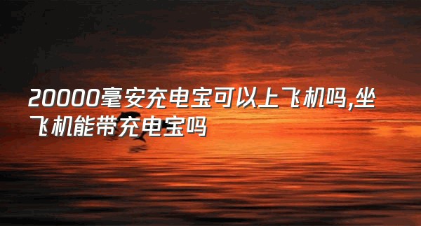 20000毫安充电宝可以上飞机吗,坐飞机能带充电宝吗