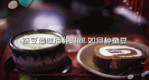 蚕豆最佳播种时间,如何种蚕豆