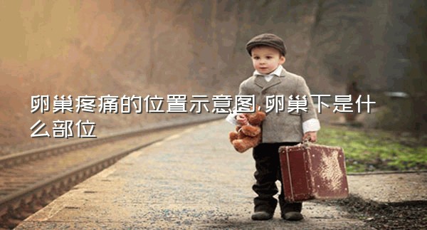卵巢疼痛的位置示意图,卵巢下是什么部位