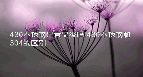 430不锈钢是食品级吗,430不锈钢和304的区别