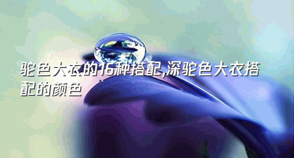 驼色大衣的16种搭配,深驼色大衣搭配的颜色