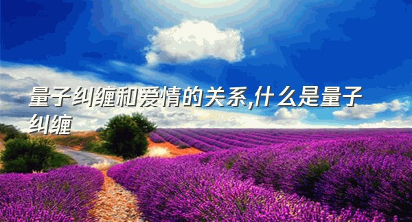 量子纠缠和爱情的关系,什么是量子纠缠