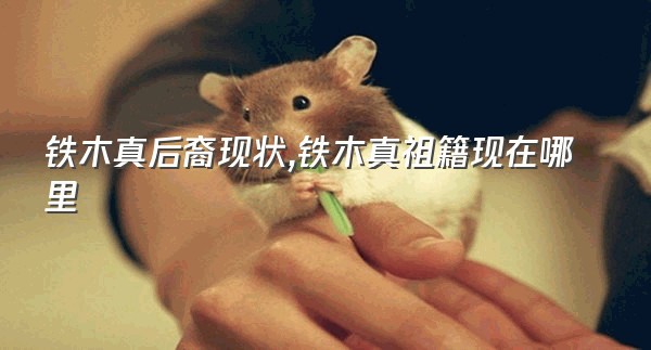 铁木真后裔现状,铁木真祖籍现在哪里