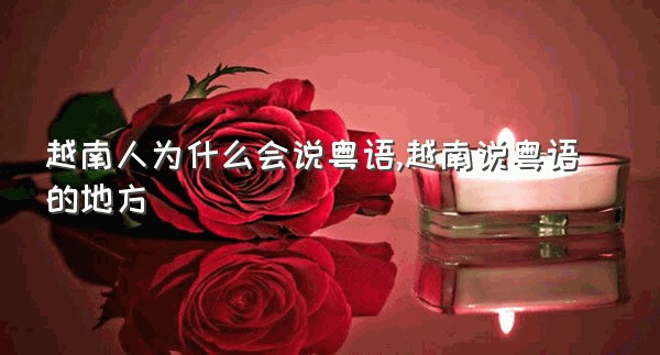 越南人为什么会说粤语,越南说粤语的地方