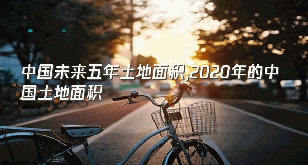 中国未来五年土地面积,2020年的中国土地面积