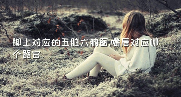 脚上对应的五脏六腑图,嘴唇对应哪个器官