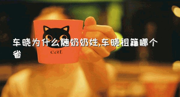 车晓为什么随奶奶姓,车晓祖籍哪个省