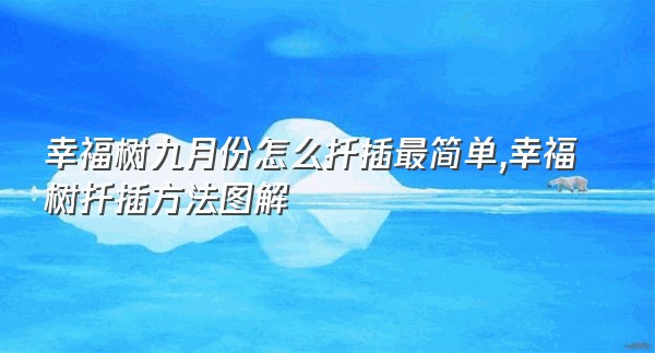 幸福树九月份怎么扦插最简单,幸福树扦插方法图解