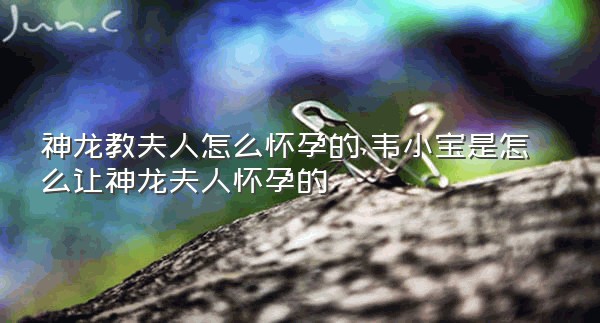 神龙教夫人怎么怀孕的,韦小宝是怎么让神龙夫人怀孕的