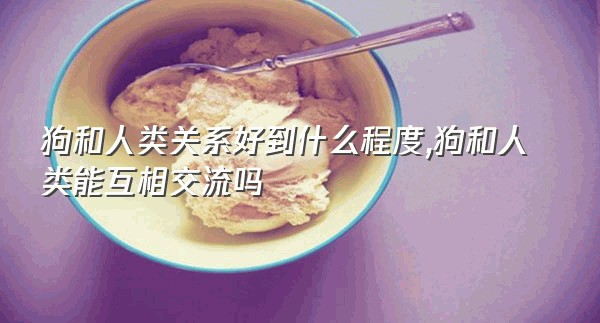 狗和人类关系好到什么程度,狗和人类能互相交流吗