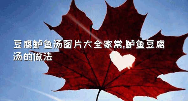 豆腐鲈鱼汤图片大全家常,鲈鱼豆腐汤的做法