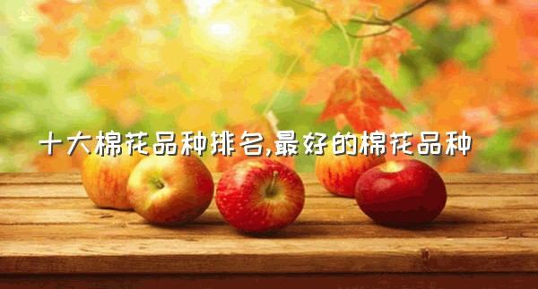 十大棉花品种排名,最好的棉花品种