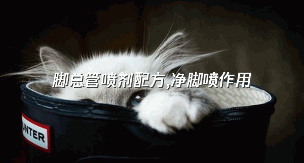 脚总管喷剂配方,净脚喷作用