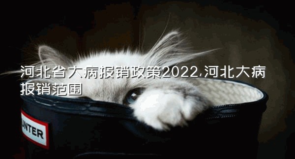 河北省大病报销政策2022,河北大病报销范围