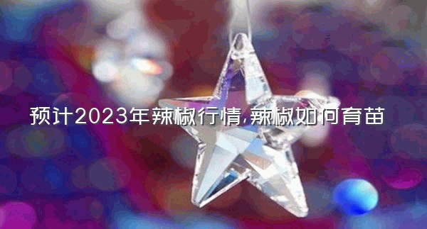 预计2023年辣椒行情,辣椒如何育苗