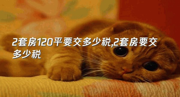 2套房120平要交多少税,2套房要交多少税