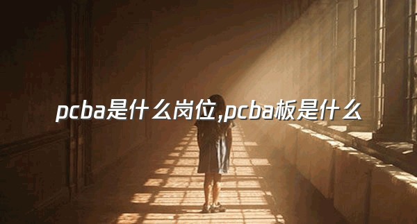 pcba是什么岗位,pcba板是什么