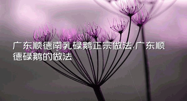 广东顺德南乳碌鹅正宗做法,广东顺德碌鹅的做法