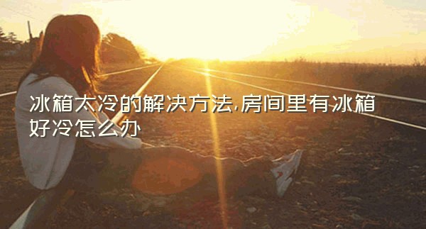 冰箱太冷的解决方法,房间里有冰箱好冷怎么办