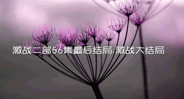 激战二部56集最后结局,激战大结局