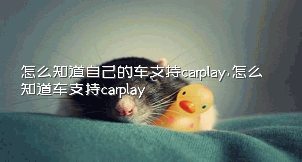 怎么知道自己的车支持carplay,怎么知道车支持carplay