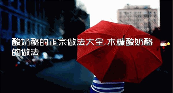 酸奶酪的正宗做法大全,木糠酸奶酪的做法