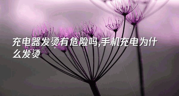 充电器发烫有危险吗,手机充电为什么发烫