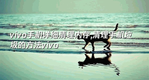 vivo手机详细清理内存,清理手机垃圾的方法vivo