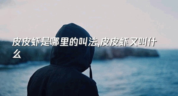 皮皮虾是哪里的叫法,皮皮虾又叫什么