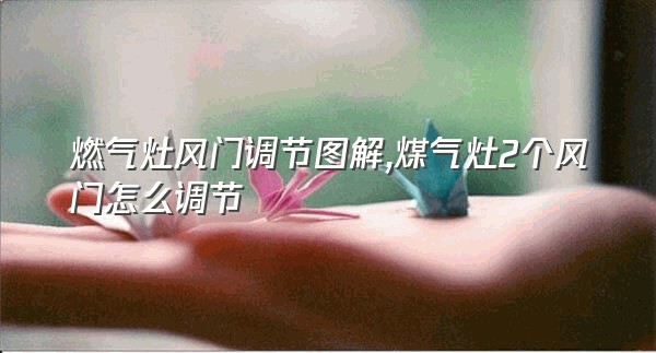 燃气灶风门调节图解,煤气灶2个风门怎么调节