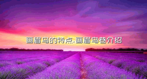 画眉鸟的特点,画眉鸟巷介绍