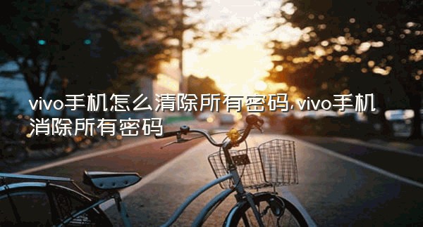 vivo手机怎么清除所有密码,vivo手机消除所有密码