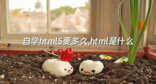 自学html5要多久,html是什么